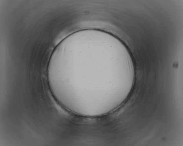 X0000092311521200710121448