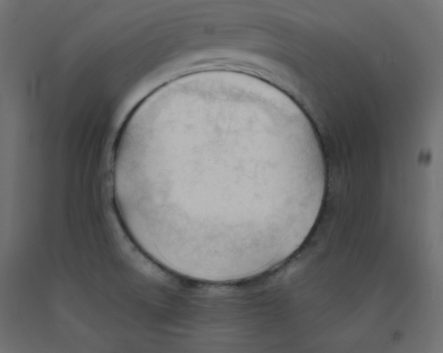 X0000092311522200710121448