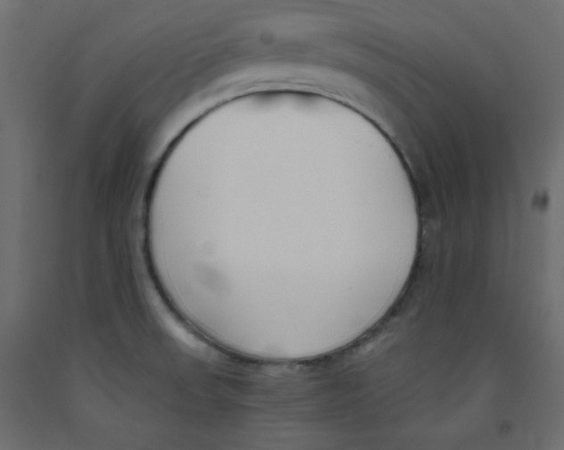X0000092311523200710121448