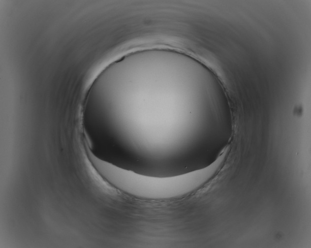 X0000092311524200710121448