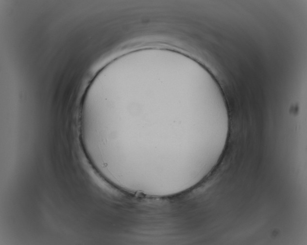 X0000092311526200710121448