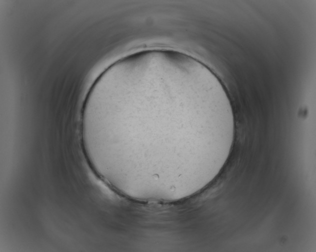 X0000092311527200710121448