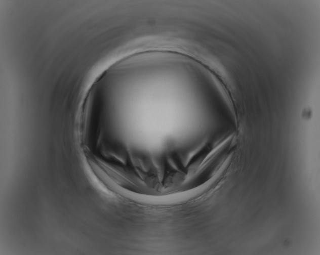X0000092311528200710121448