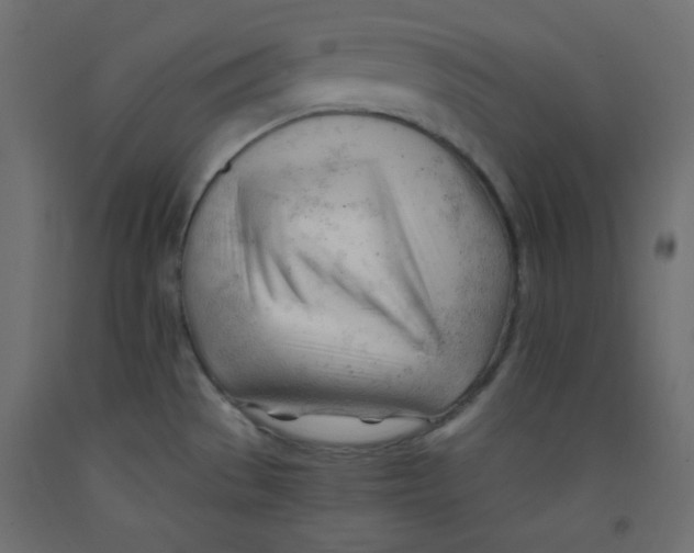 X0000092311529200710121448