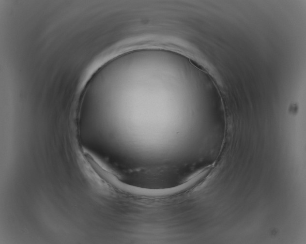 X0000092311530200710121448