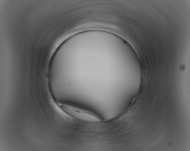 X0000092311531200710121448