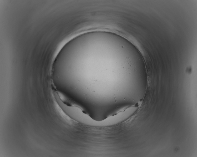 X0000092311532200710121448