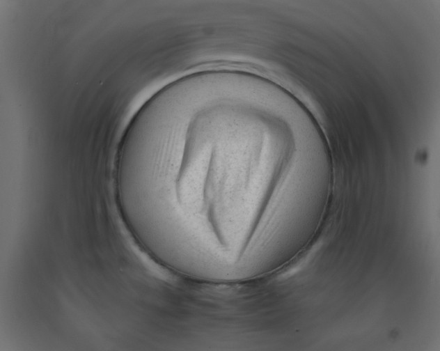 X0000092311533200710121448