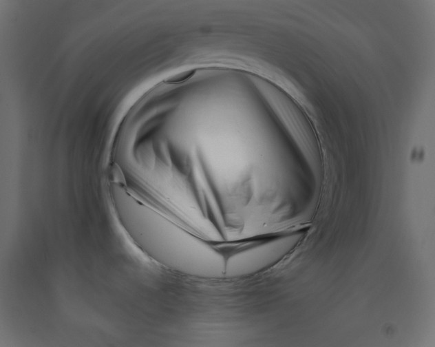 X0000092311536200710121448