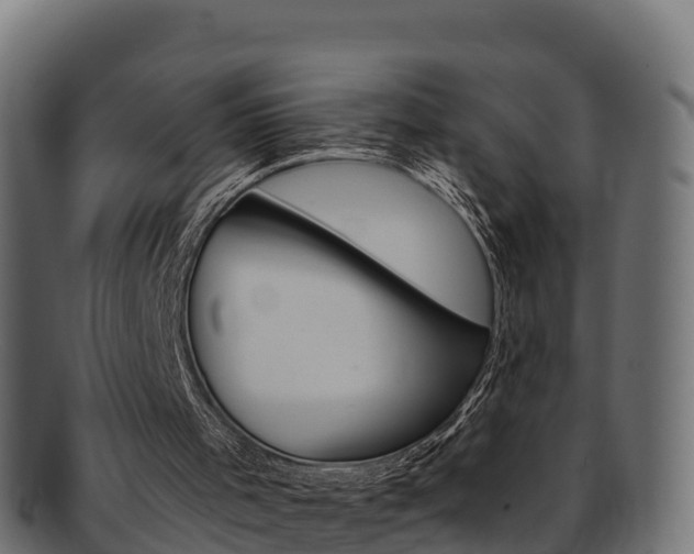 X0000092320001200709141100