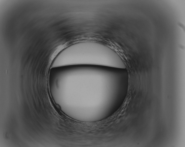 X0000092320003200709141100