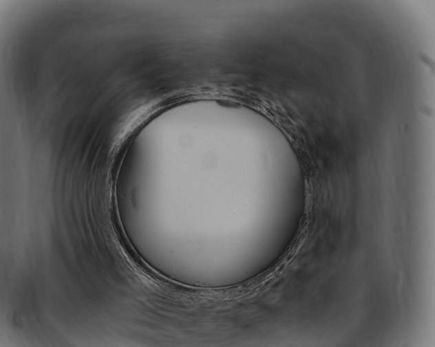 X0000092320005200709141100