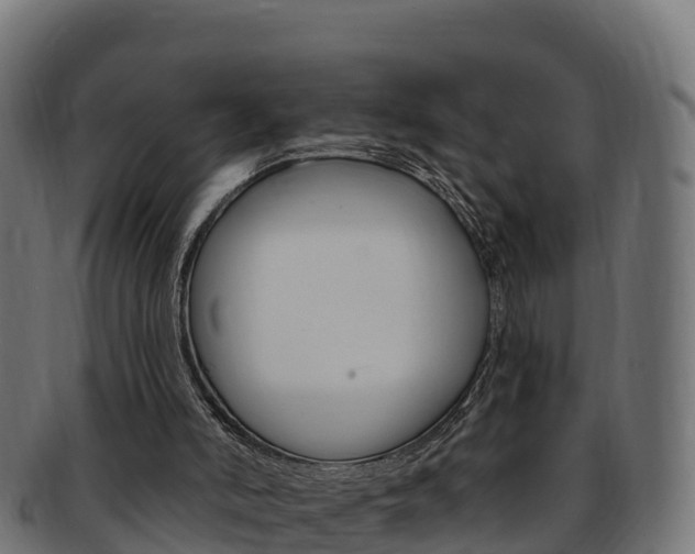 X0000092320006200709141100