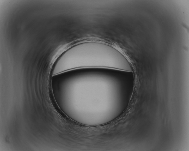 X0000092320007200709141100