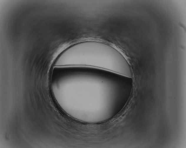 X0000092320008200709141100