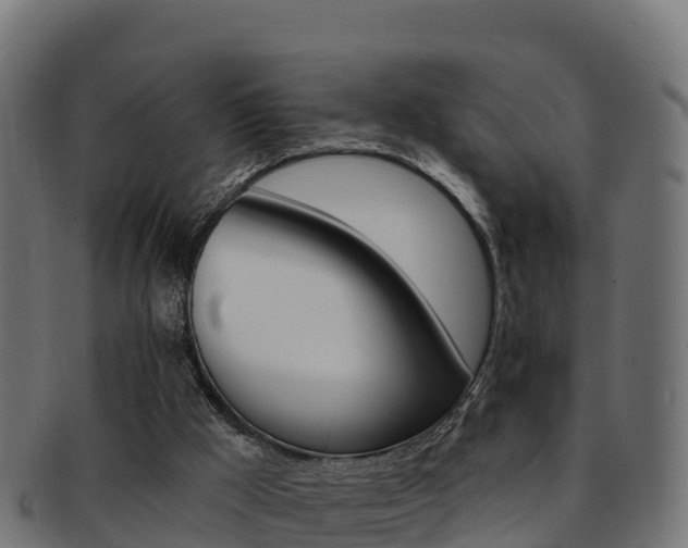 X0000092320009200709141100