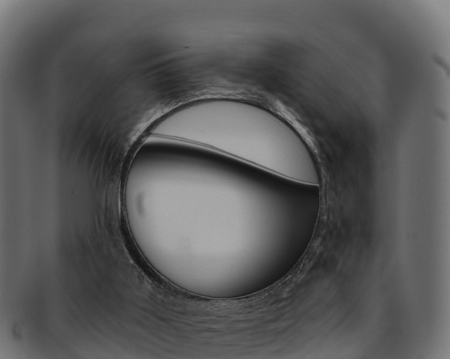 X0000092320011200709141100