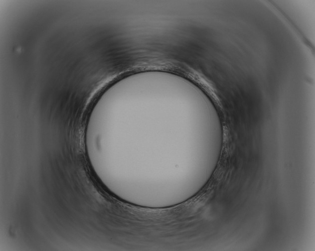 X0000092320012200709141100