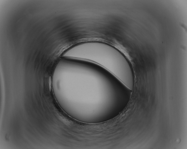 X0000092320013200709141100