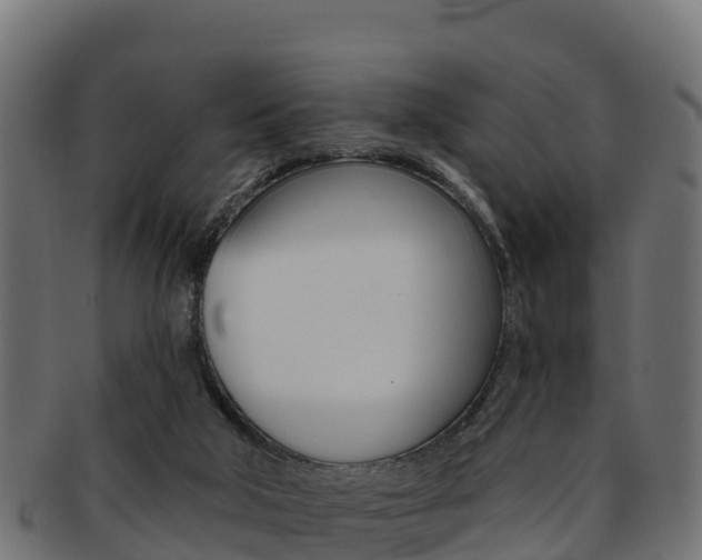 X0000092320018200709141100