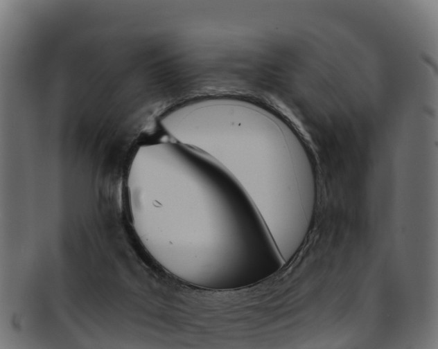 X0000092320019200709141100