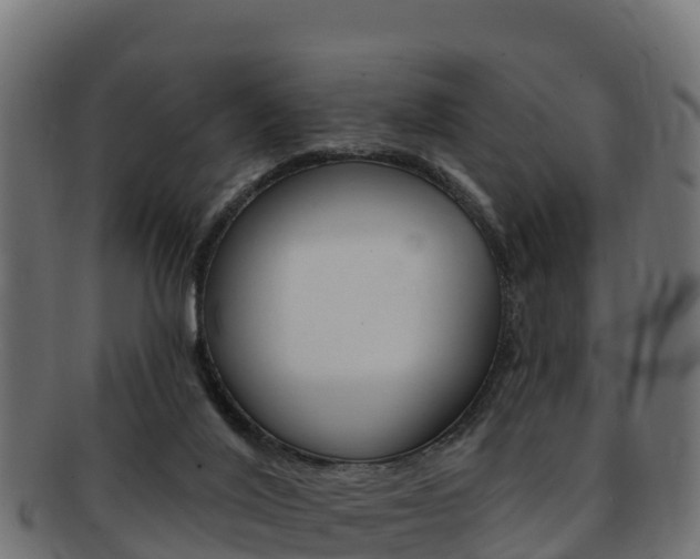 X0000092320020200709141100