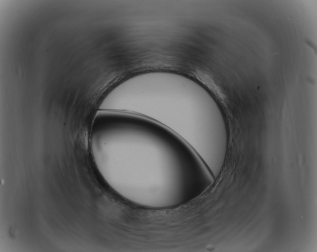 X0000092320021200709141100