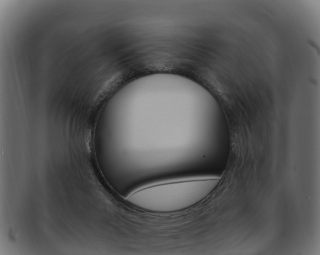 X0000092320023200709141100