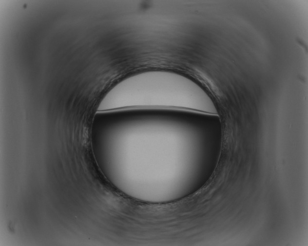 X0000092320025200709141100
