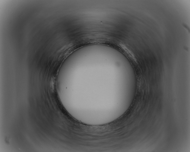 X0000092320026200709141100