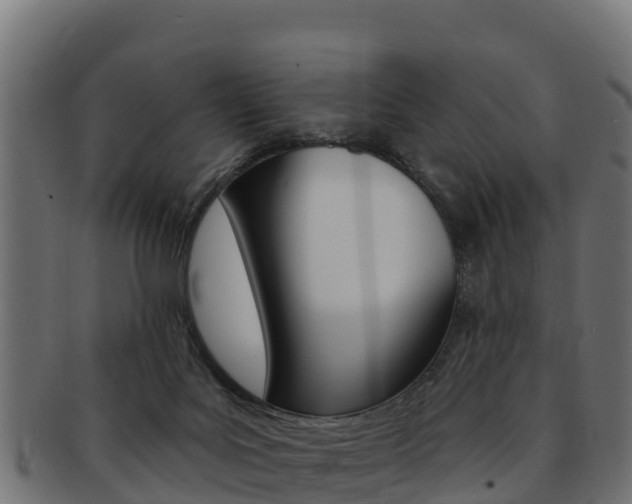 X0000092320027200709141100