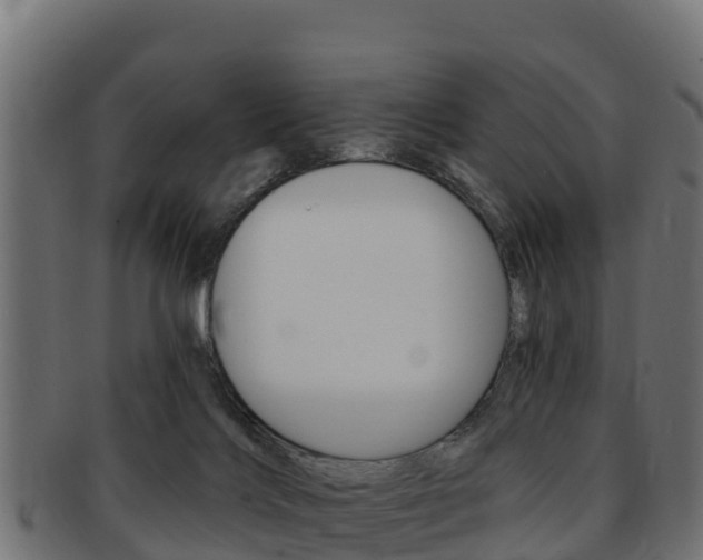 X0000092320028200709141100