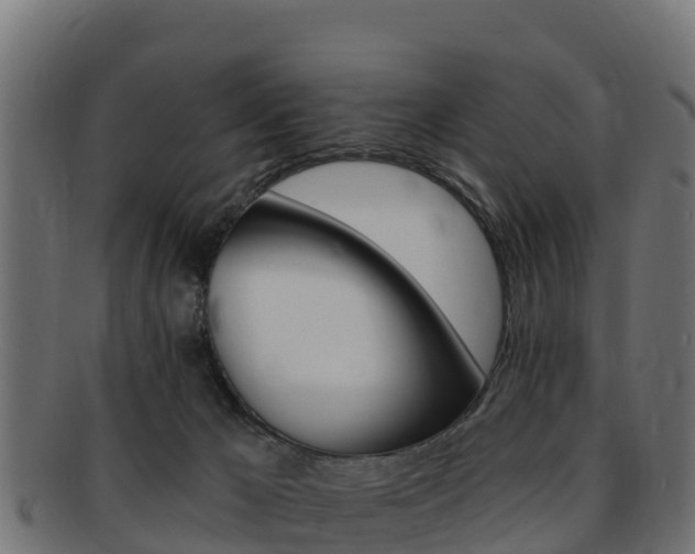 X0000092320029200709141100