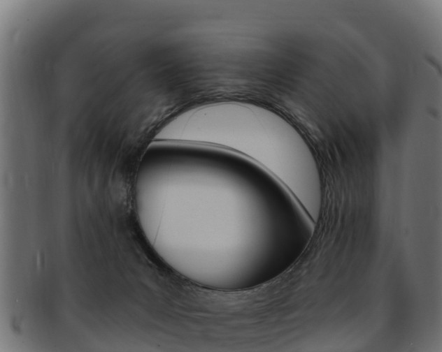 X0000092320031200709141100