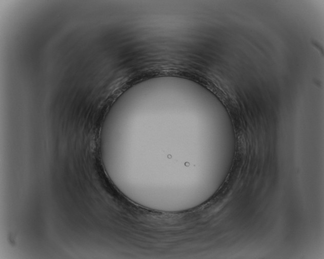X0000092320032200709141100