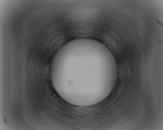 X0000092320034200709141100