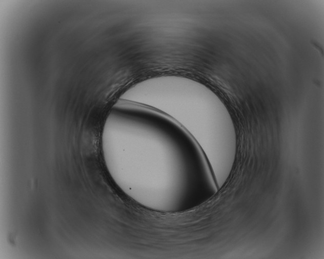 X0000092320039200709141059