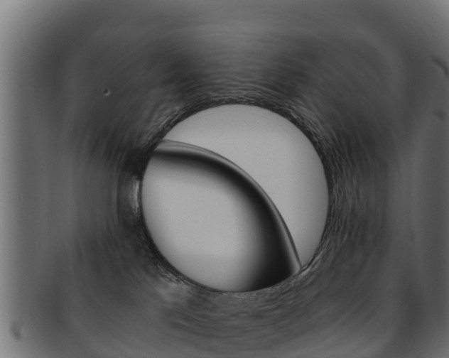X0000092320041200709141059