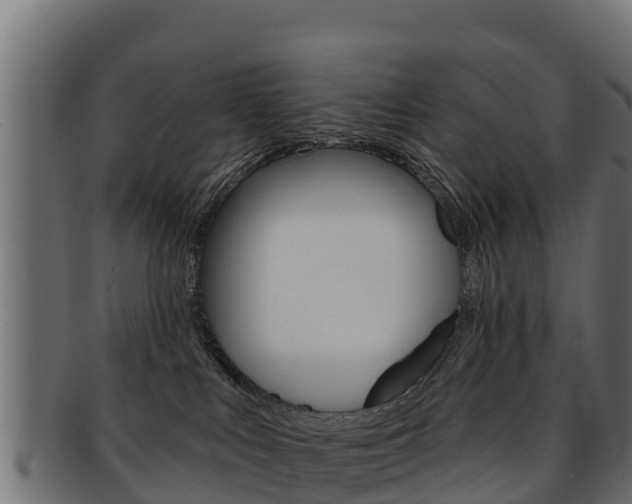 X0000092320043200709141059