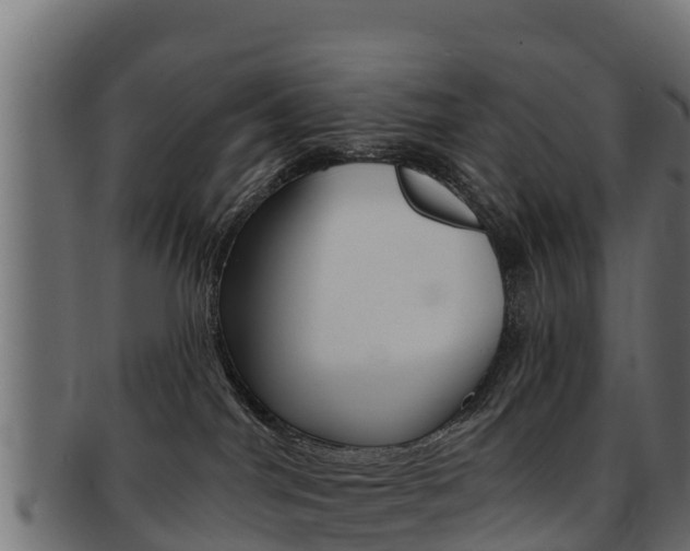 X0000092320044200709141059
