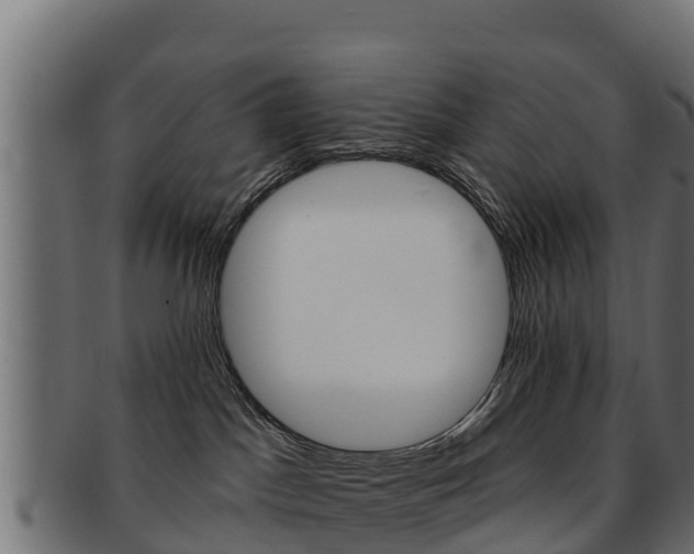 X0000092320045200709141059