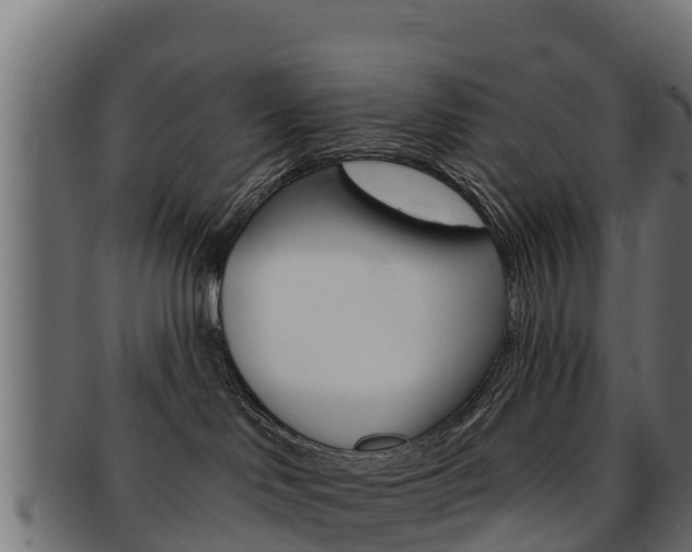 X0000092320046200709141059