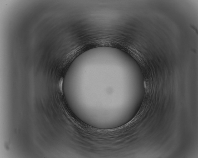 X0000092320047200709141059
