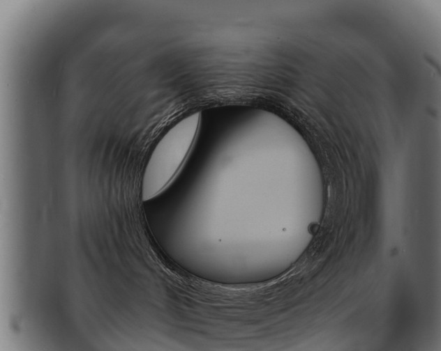 X0000092320048200709141059