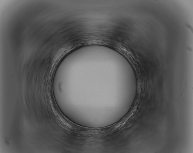 X0000092320049200709141059