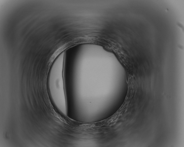 X0000092320051200709141059