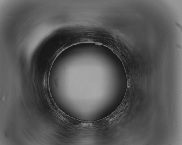X0000092320052200709141059