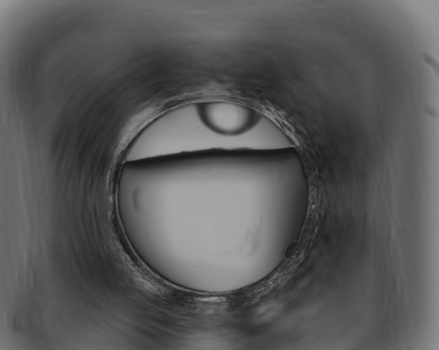 X0000092320053200709141059