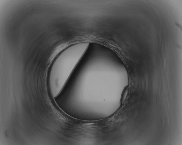 X0000092320054200709141059