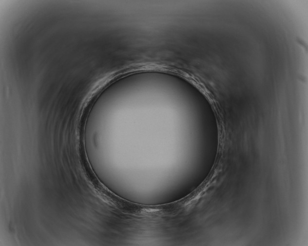 X0000092320055200709141059